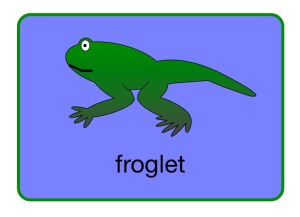 froglet