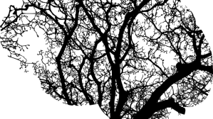Brain anatomy - a black and white graphic of branches in the brain based on a tree