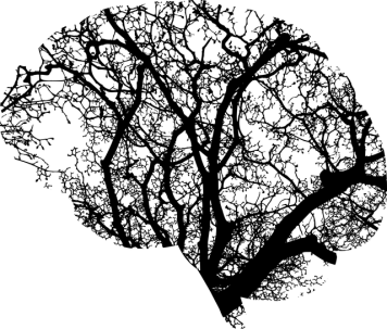 Brain anatomy - a black and white graphic of branches in the brain based on a tree