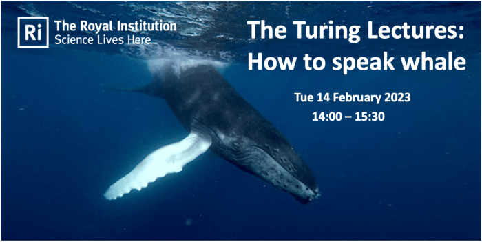 The Turing Lectures: How to speak whale, in partnership with the Royal Institution (event is hosted there). Tuesday 14th February 2023 from 2 to 3.30pm.