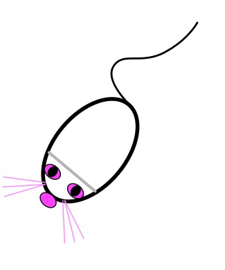 A computer mouse / real mouse