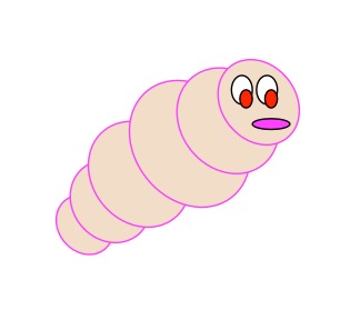 A maggot