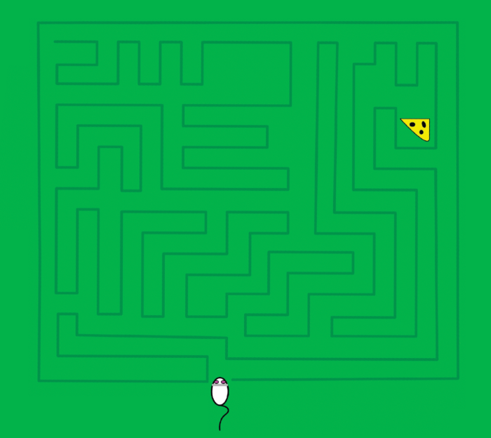 A light green background with a dark green maze on it. A small cartoon mouse faces an entrance into the maze and must decide which direction to go in to reach the piece of cheese hidden within it.