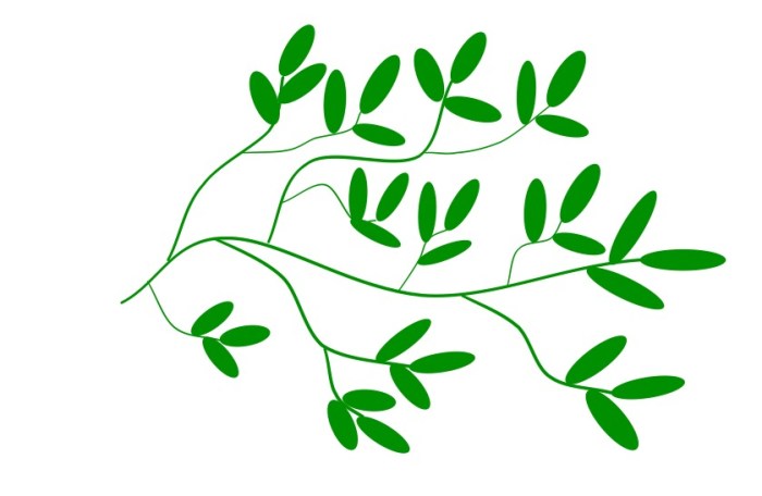 Leafy Branch